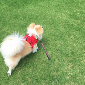 今を大事にの画像