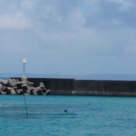 小説のタイトル決められないの画像