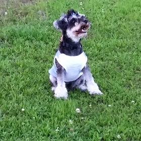 イキイキランランヘ(≧▽≦ヘ)♪の画像