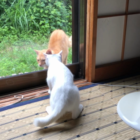 バトル2の画像