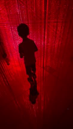 次男10歳の誕生日でチームラボの記事動画