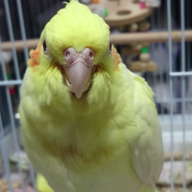 かわいい子たちの画像