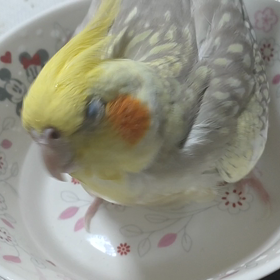 そんなもんかな。の画像