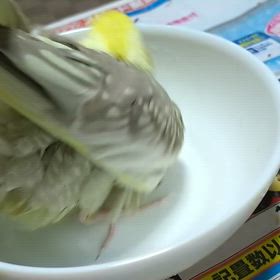 記事消えてがっくりの画像