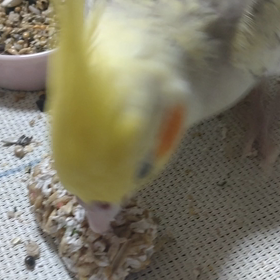 へぇ。。。の画像