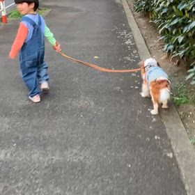 散歩の画像