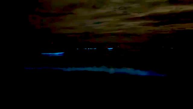 夜光ツー♪の記事動画