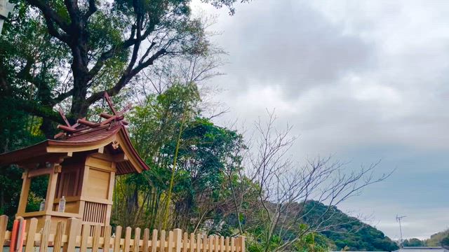 鹿児島初日。そうだったらいいのにな。の記事動画