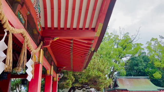 ⛩【菊と稲荷】stay alive・９：ミッション遂行の記事動画
