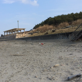 はな と海辺お散歩の画像