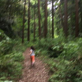 お散歩へ！の画像