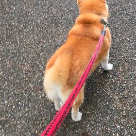 ワサビ〜　自分が一番の画像