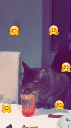 Snap Chat‼️の記事動画