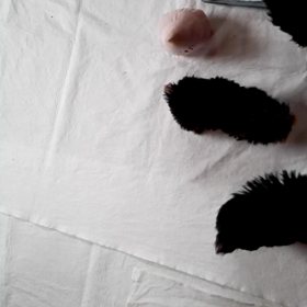 何頭いる？？？の画像