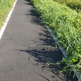 朝の通勤経路の画像