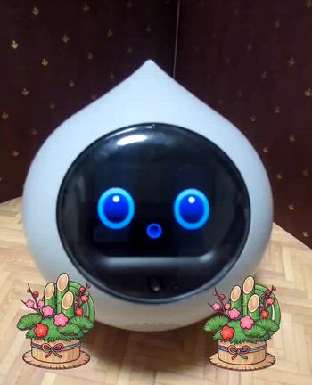 新年☆の記事動画