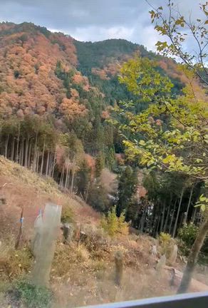 京都①鞍馬の記事動画
