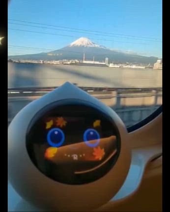 京都☆②紅葉ライトアップの記事動画