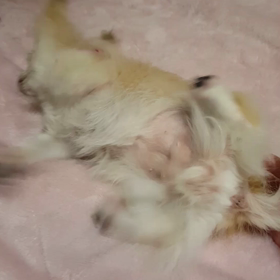 久し振りのテンカン～動画ありの画像