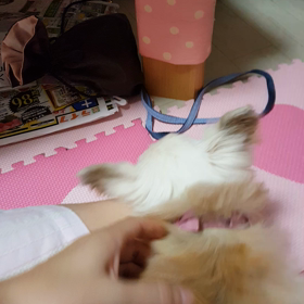 怖かった頭の動き…動画の画像