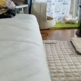 思い出の画像