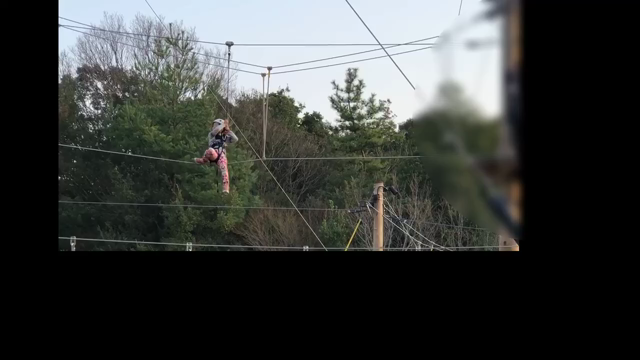 お正月はの記事動画