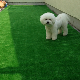 ベランダで遊ぶよー^ ^の画像