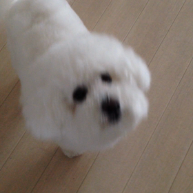 ご褒美(^O^)の画像