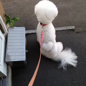 ストライキ動画の画像