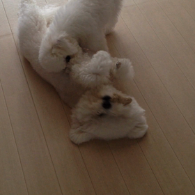 優しいだけの男なんて~_~;の画像