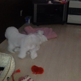 ストーカーで捕まりますよの画像