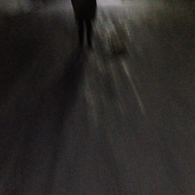 初！ノアの散歩♬の画像