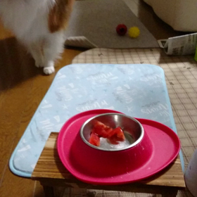 とまとの画像