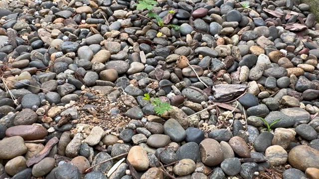 【40/50代の方々へ】持ち物が多いから「片付けなきゃ」と思っていませんか？の記事動画