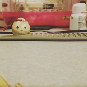 今日はの画像