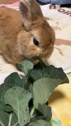 あれからの記事動画