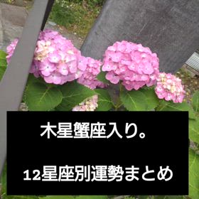 2025/06/11の画像