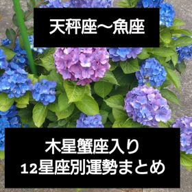 2025/06/11の画像