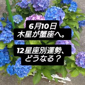 2025/06/10の画像