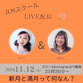 2024/11/11の画像