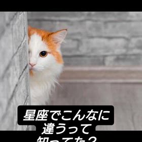 星座でこんなにも違うの画像