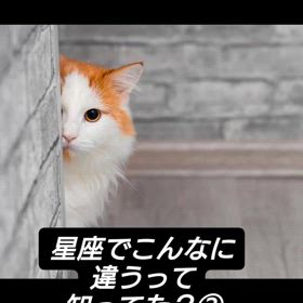 星座でこんなに違う②の画像