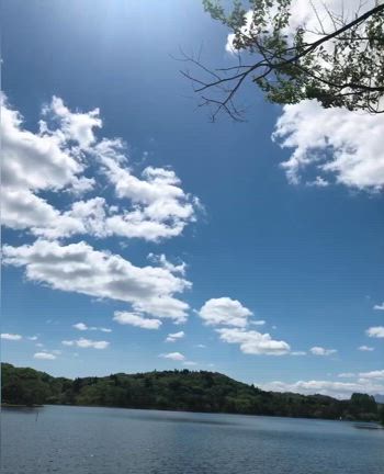 かえるの記事動画
