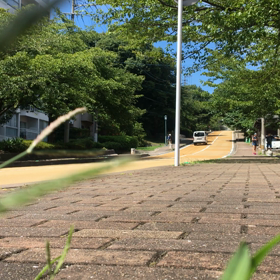 初！自衛隊トレーニング公開！地獄！の画像