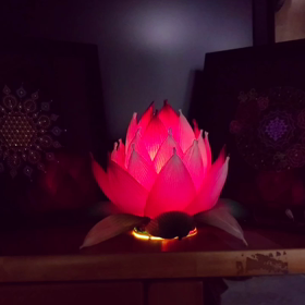 蓮の花のランプの画像