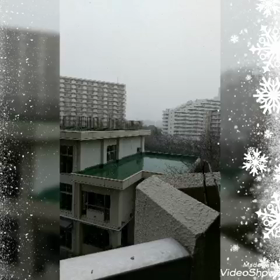 東京に初雪…♪の画像