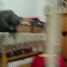 初動画の画像
