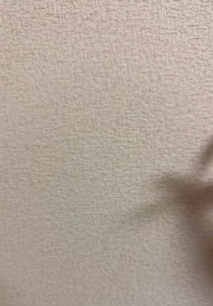 心を鷲掴みにされた話。の記事動画