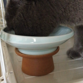 猫のごはんについてアニマルコミュニケーターに聞いてみたの画像