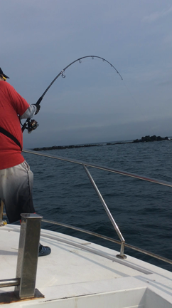 九州　福岡　玄界灘　ヒラマサ  夏マサ　キャスティング  遊漁船ROSSOの記事動画